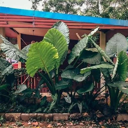 Song Pee Nong Resort Phattalung محافظة فاتالونغ المظهر الخارجي الصورة