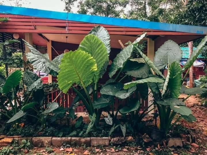 Song Pee Nong Resort Phattalung محافظة فاتالونغ المظهر الخارجي الصورة